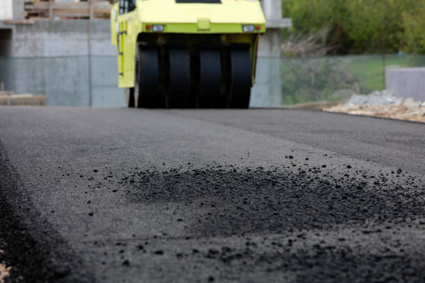 Professional Driveway Pavers in Bishopville, SC