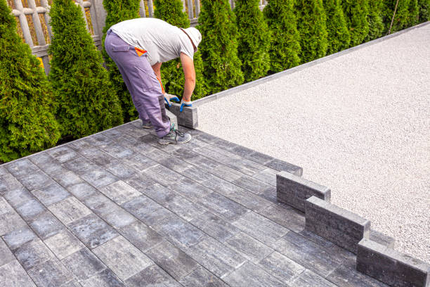 Best Local Driveway Pavers  in Bishopville, SC
