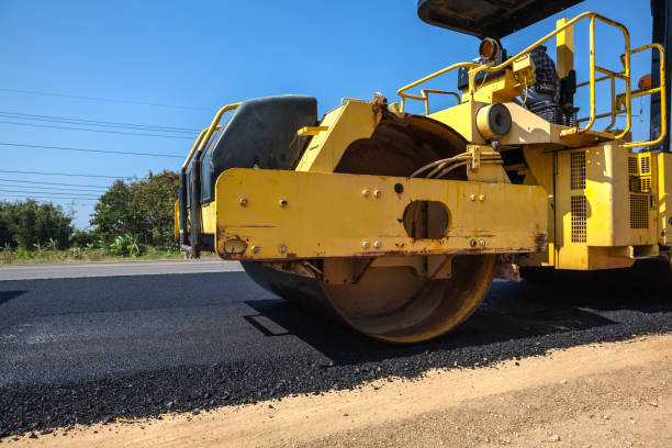 Best Local Driveway Pavers  in Bishopville, SC